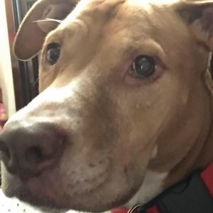 Meet your Posher, Arturo